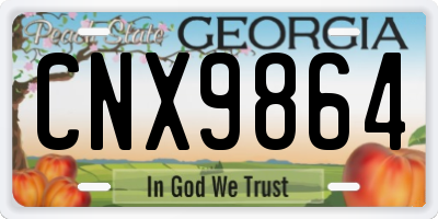 GA license plate CNX9864