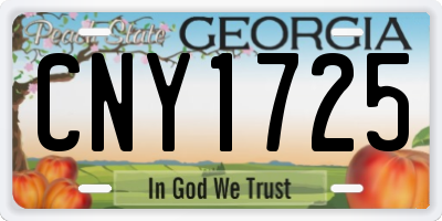 GA license plate CNY1725
