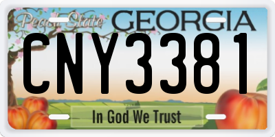 GA license plate CNY3381