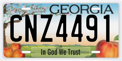 GA license plate CNZ4491
