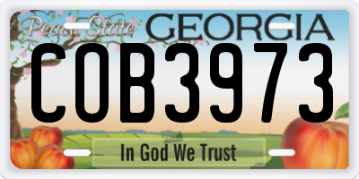 GA license plate COB3973