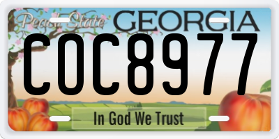 GA license plate COC8977