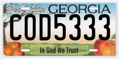 GA license plate COD5333