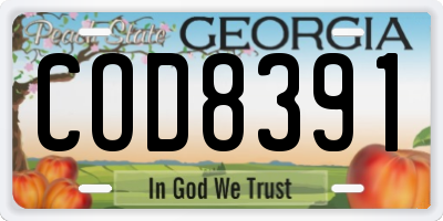 GA license plate COD8391
