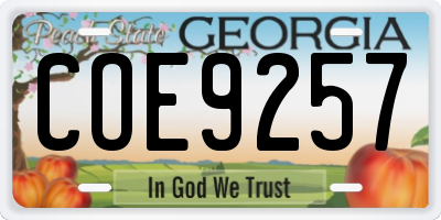 GA license plate COE9257