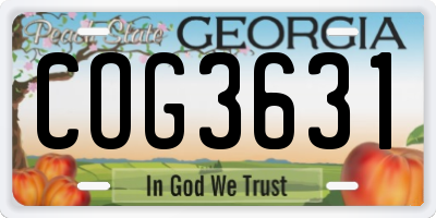 GA license plate COG3631