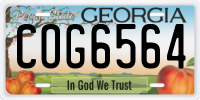GA license plate COG6564