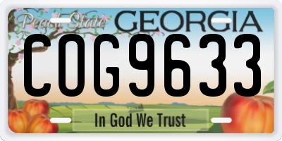 GA license plate COG9633