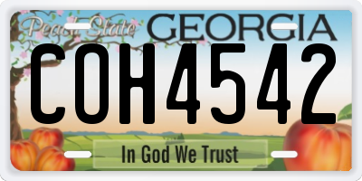 GA license plate COH4542