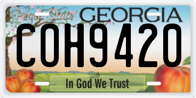 GA license plate COH9420