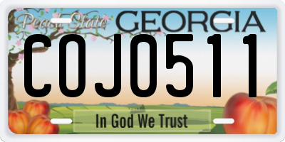 GA license plate COJ0511