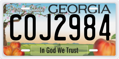 GA license plate COJ2984