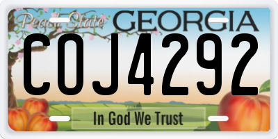 GA license plate COJ4292