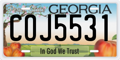 GA license plate COJ5531