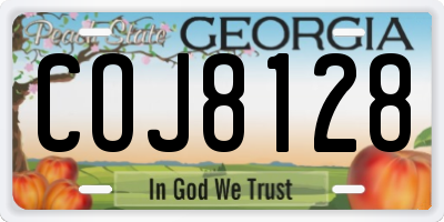 GA license plate COJ8128