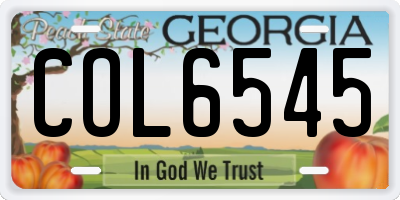 GA license plate COL6545