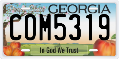GA license plate COM5319