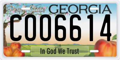 GA license plate COO6614