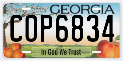 GA license plate COP6834