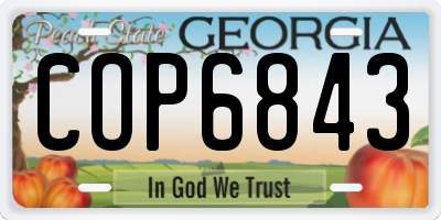 GA license plate COP6843
