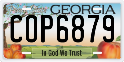 GA license plate COP6879