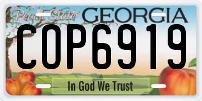 GA license plate COP6919
