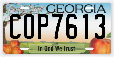 GA license plate COP7613