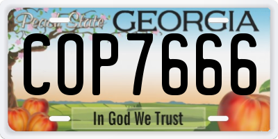 GA license plate COP7666