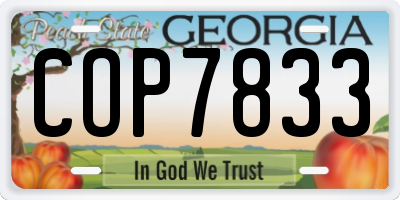 GA license plate COP7833