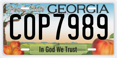 GA license plate COP7989
