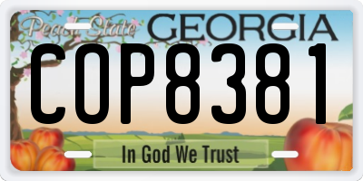 GA license plate COP8381