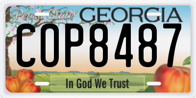 GA license plate COP8487