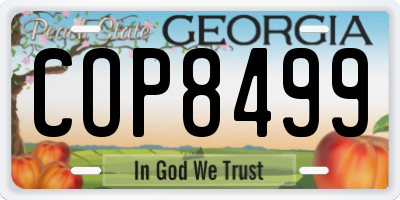 GA license plate COP8499