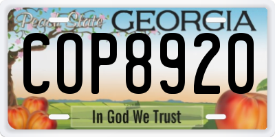 GA license plate COP8920