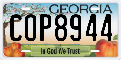 GA license plate COP8944