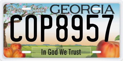 GA license plate COP8957