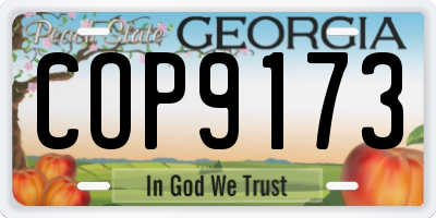 GA license plate COP9173