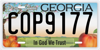GA license plate COP9177