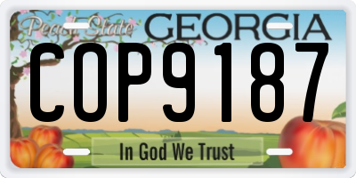 GA license plate COP9187