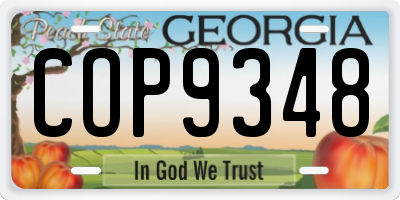 GA license plate COP9348