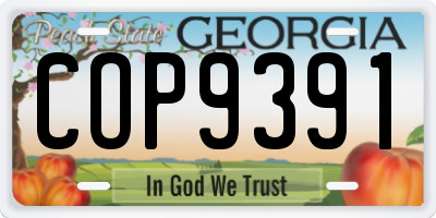 GA license plate COP9391