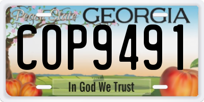 GA license plate COP9491