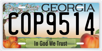 GA license plate COP9514