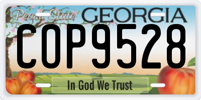 GA license plate COP9528