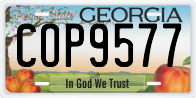 GA license plate COP9577