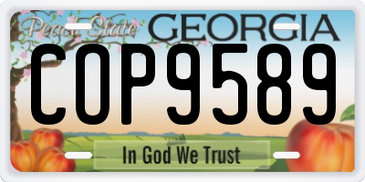 GA license plate COP9589