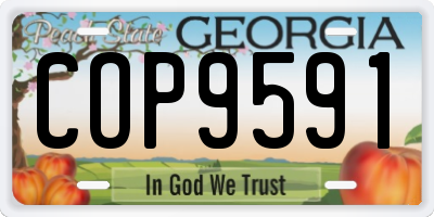 GA license plate COP9591