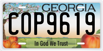 GA license plate COP9619