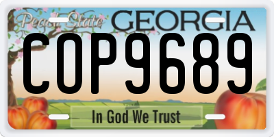 GA license plate COP9689