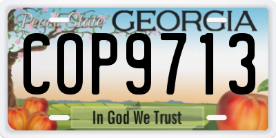 GA license plate COP9713